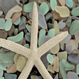 10" Starfish and Colorful Seaglass 2 Giclee Wrap Canvas Wall Art