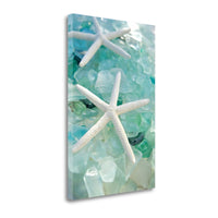 7" Two White Starfish and Seaglass Giclee Wrap Canvas Wall Art