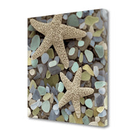 11" Two Starfish and Seaglass 1 Giclee Wrap Canvas Wall Art