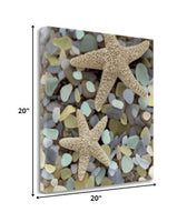 11" Two Starfish and Seaglass 1 Giclee Wrap Canvas Wall Art