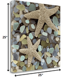 11" Two Starfish and Seaglass 2 Giclee Wrap Canvas Wall Art