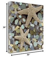 11" Two Starfish and Seaglass 2 Giclee Wrap Canvas Wall Art