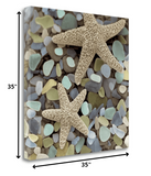 11" Two Starfish and Seaglass 2 Giclee Wrap Canvas Wall Art