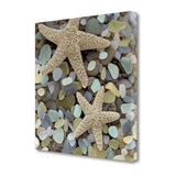 11" Two Starfish and Seaglass 2 Giclee Wrap Canvas Wall Art