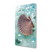 8" Sea Scallop Shell and Seaglass Giclee Wrap Canvas Wall Art