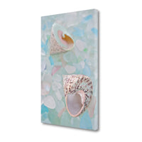 5" Speckled Snail Shell and Colorful Seaglass Giclee Wrap Canvas Wall Art