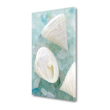 4" White Snail Shell and Blue Seaglass Giclee Wrap Canvas Wall Art