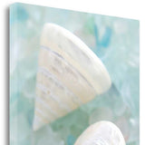 4" White Snail Shell and Blue Seaglass Giclee Wrap Canvas Wall Art