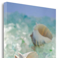 1" Conchshell and Seaglass Giclee Wrap Canvas Wall Art