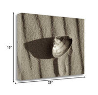 36" Seashell in the Sand Giclee Wrap Canvas Wall Art