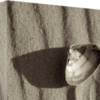 36" Seashell in the Sand Giclee Wrap Canvas Wall Art