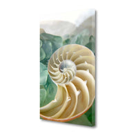 27" Seashell and Seaglass Giclee Wrap Canvas Wall Art