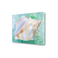 28" Seashell and Seaglass Giclee Wrap Canvas Wall Art