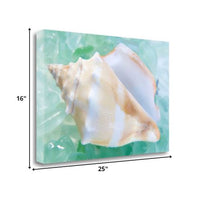 28" Seashell and Seaglass Giclee Wrap Canvas Wall Art