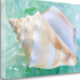 28" Seashell and Seaglass Giclee Wrap Canvas Wall Art