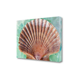 37" Red Seashell and Green Seaglass Giclee Wrap Canvas Wall Art
