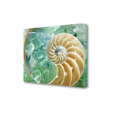 26" Seashell and Green Seaglass Giclee Wrap Canvas Wall Art