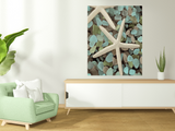 20" Starfish and Seaglass Giclee Wrap Canvas Wall Art