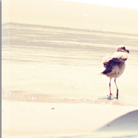 27" Coastal Seagull on the Beach Print on Gallery Wrap Canvas Wall Art