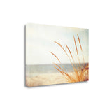 25" Golden Swaying Beach Grass Giclee Wrap Canvas Wall Art