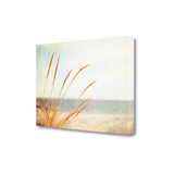 25" Golden Swaying Beach Grass Giclee Wrap Canvas Wall Art