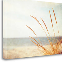 25" Golden Swaying Beach Grass Giclee Wrap Canvas Wall Art