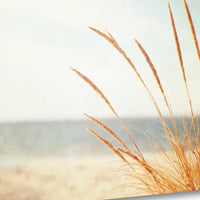 25" Golden Swaying Beach Grass Giclee Wrap Canvas Wall Art