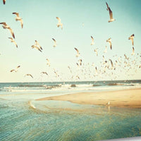 Flying Seagulls Over Water 2 Giclee Wrap Canvas Wall Art