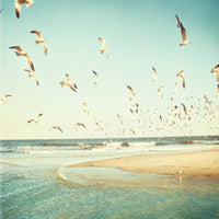 Flying Seagulls Over Water 2 Giclee Wrap Canvas Wall Art