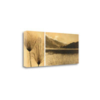 28" Nature Photography Sepia Tone Gallery Wrap Canvas Wall Art