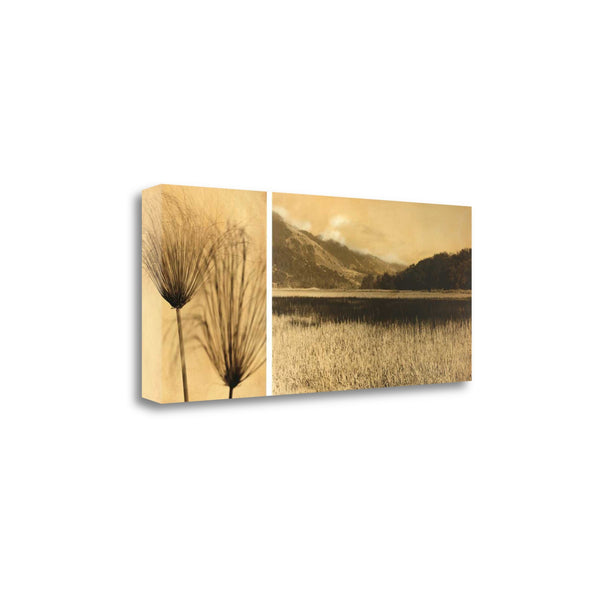 28" Nature Photography Sepia Tone Gallery Wrap Canvas Wall Art