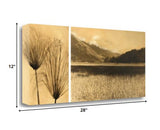 28" Nature Photography Sepia Tone Gallery Wrap Canvas Wall Art