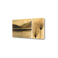 28" Nature Photography Sepia Tone Gallery Wrap Canvas Wall Art