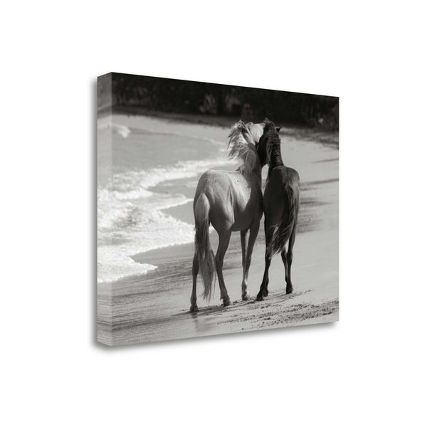 21" Black and White Two Cuddling Mustangs Giclee Wrap Canvas Wall Art