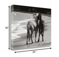 21" Black and White Two Cuddling Mustangs Giclee Wrap Canvas Wall Art