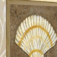 20" Seashell with Multi-Pattern Background Giclee Wrap Canvas Wall Art