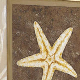 24" Starfish with Multi-Pattern Background Giclee Wrap Canvas Wall Art