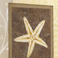 24" Starfish with Multi-Pattern Background Giclee Wrap Canvas Wall Art