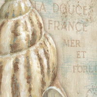 Rustic French Seashell 1 Giclee Wrap Canvas Wall Art