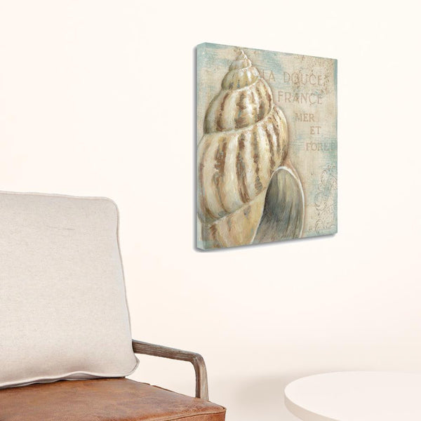 Rustic French Seashell 1 Giclee Wrap Canvas Wall Art