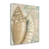 Rustic French Seashell 3 Giclee Wrap Canvas Wall Art