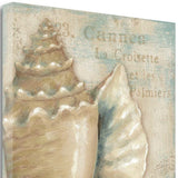 Rustic French Seashell 3 Giclee Wrap Canvas Wall Art