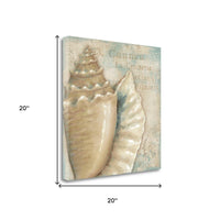 Rustic French Seashell 3 Giclee Wrap Canvas Wall Art