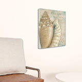 Rustic French Seashell 3 Giclee Wrap Canvas Wall Art