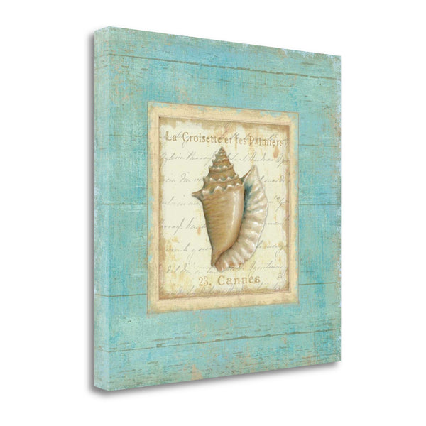 20" French Chic Seashell Print on Gallery Wrap Canvas Wall Art