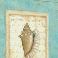 20" French Chic Seashell Print on Gallery Wrap Canvas Wall Art