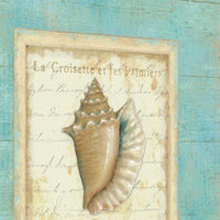 24" French Chic Seashell Print on Gallery Wrap Canvas Wall Art