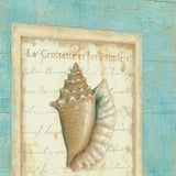 24" French Chic Seashell Print on Gallery Wrap Canvas Wall Art