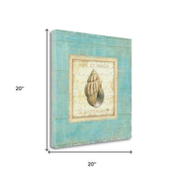 20" French Inspired Seashell Print on Gallery Wrap Canvas Wall Art