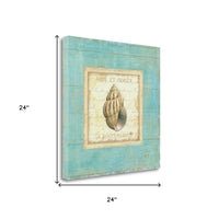 24" French Inspired Seashell Print on Gallery Wrap Canvas Wall Art